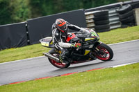 Lower Group Multicolour Bikes